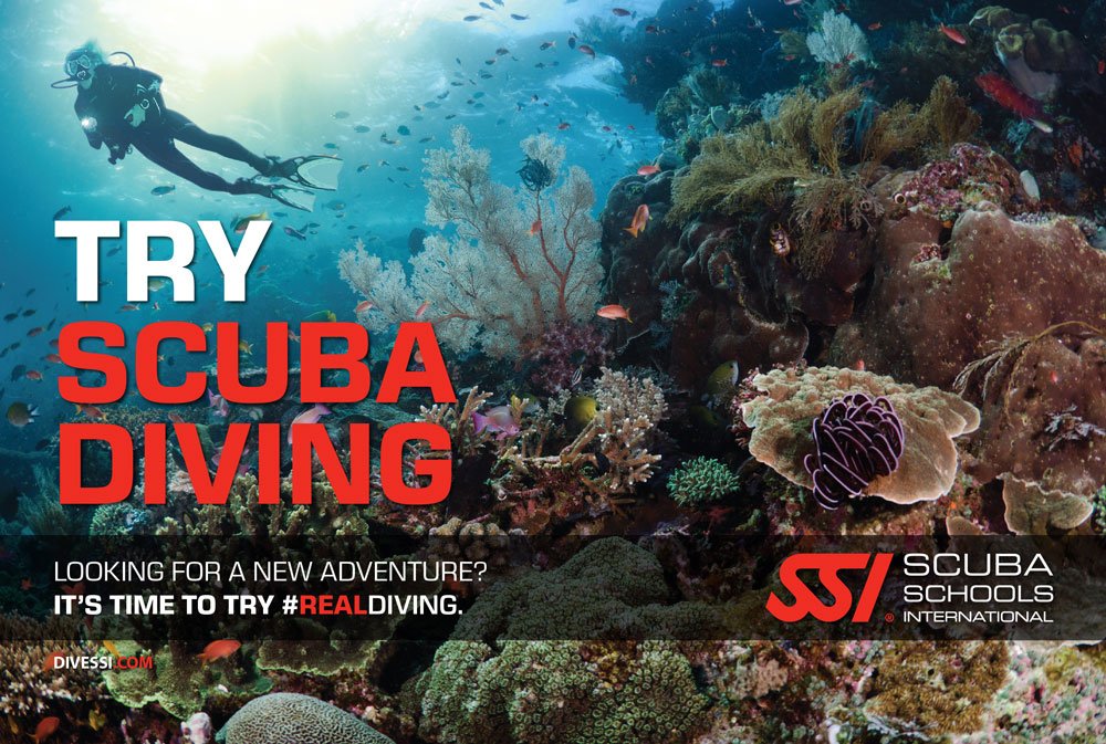 Try Scuba Divin